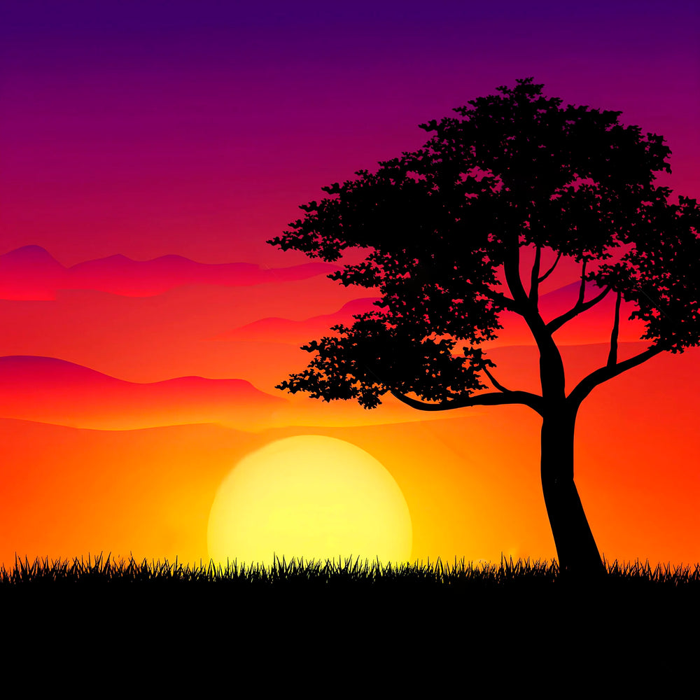 Using Landscape Photos