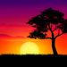 Using Landscape Photos