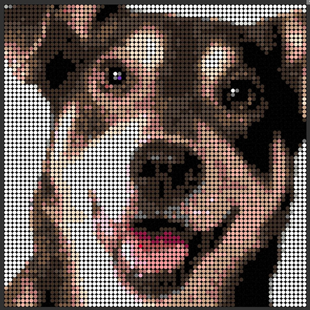 Use Detailed Photos of Pets