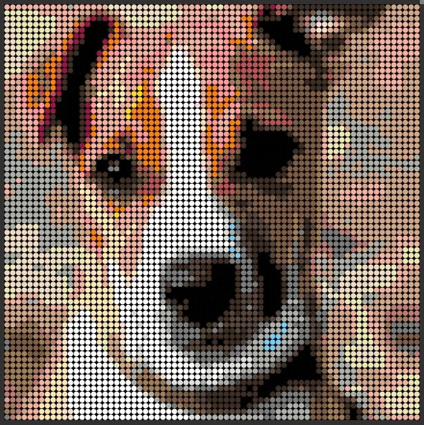 Use Detailed Photos of Pets