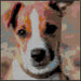 Use Detailed Photos of Pets